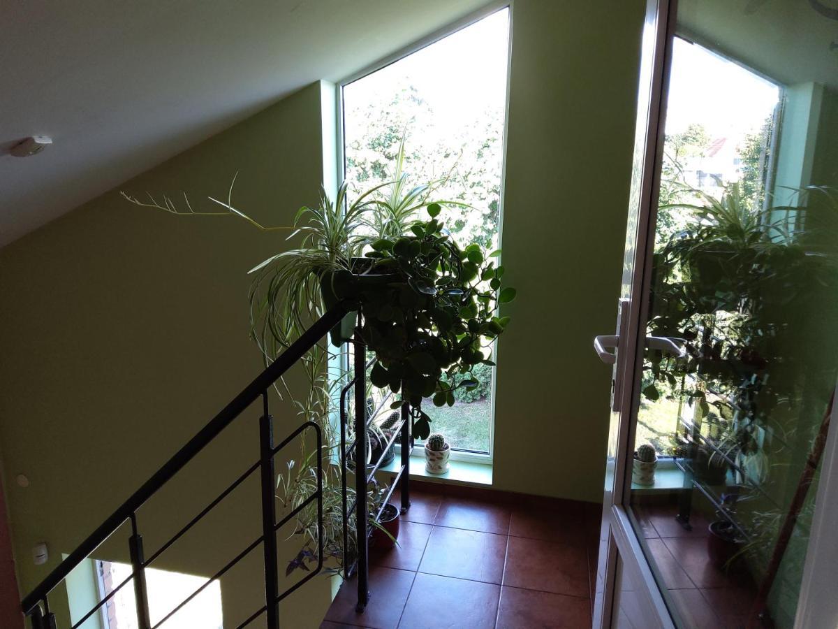 Apartamentai Geguciu Gatveje Klaipėda Dış mekan fotoğraf